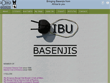 Tablet Screenshot of dibubasenjis.com